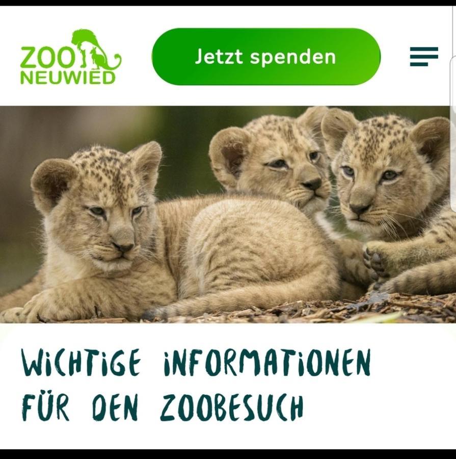 Fewo Mit Terasse Neuwied & Koblenz Екстер'єр фото